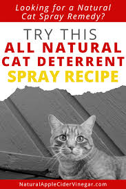 The Best All Natural Cat Deterrent Spray Recipe All Natural Home Cat Deterrent Spray Cat Deterrent Natural Cat