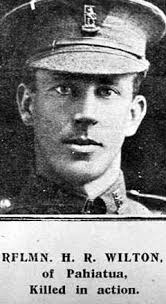 100 NZ World War One Memorials 1914-2014: The Wilton Brothers