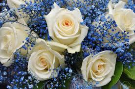 Beauty points sammeln & mit der douglas beauty card von exklusiven vorteilen profitieren. Wedding Bouquet With White Roses And Blue Flowers Stock Photo Picture And Royalty Free Image Image 10416880