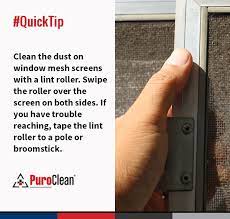 pin on house cleaning tips