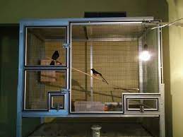 Jual Kandang Ternak Murai Di Lapak Pusat Kandang Bukalapak