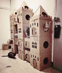 This method is best for easy cleaning to keep the litter contained in one area. 30 Times People Built Their Cats A Cardboard Fort And It S An Ecological Solution To Where To Put All The Boxes Bored Panda