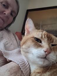 I lead an uneventful life, but my mind is extremely busy when I'm asleep.  Last week it was the Queen, before that, Noel Coward. Last night, Tom  Jones. There he was on