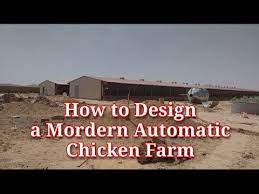 Design your lounge creatively, using these fifty modern living rooms as examples. How To Design A Modern Automatic Chicken Farm I Layers Chicken Farming I Poultry House Design Youtube