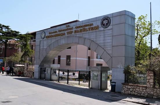 İstanbul Üniversitesi - Cerrahpaşa