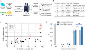 Each line should only kill one zombie. Frontiers Enhanced Nk 92 Cytotoxicity By Crispr Genome Engineering Using Cas9 Ribonucleoproteins Immunology