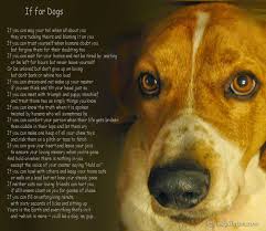 If For Dogs Cool Dog Collars Dog Poems Dogs