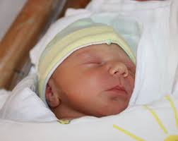 Hlasujte o nejhezčí miminko 17. týdne roku 2015