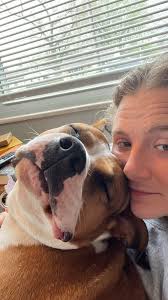 Humane Society of Missouri...