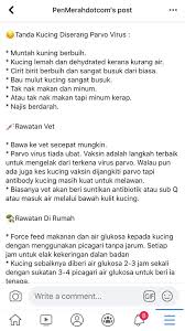Tiap kali ada makanan masuk ke dalam perut, terus akan keluar semula. Chinen On Twitter Ada Baca Pasal Parvo Virus Days Ago It S A Cat Virus Ada Ambil Tindakan Jugak Tapi Sambil Lewa Gitu Ja Found Out My Dad S Friend Lost 12 Of His