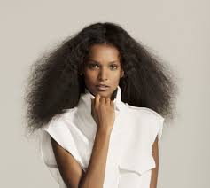 Liya Kebede Model Archives Aoc Anne Of Carversville