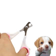 Satin Almak Paslanmaz Celik Pet Hayvan Kopek Kediler Kus Ayak Pence Ciftlestirme Nail Clippers Makas Giyotin Kopek Timar Top Www10 Pazarnakliye Co