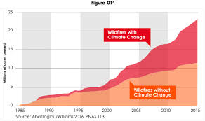 Californias Wildfire Blackouts Are A Mess Here Are 3 Key