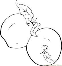 You can use our amazing online tool to color and edit the following apple coloring pages. Two Apples Coloring Page For Kids Free Apples Printable Coloring Pages Online For Kids Coloringpages101 Com Coloring Pages For Kids