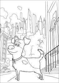 The true story of puss'n boots: The Secret Life Of Pets Coloring Pages 5 Secret Life Of Pets Coloring Pictures Cool Coloring Pages