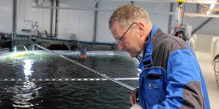 Grieg newfoundland salmon ltd (grieg nl) is acquired by grieg seafood asa. Salmon Farmer Grieg Seafood Stumbles On Ambitious Goals But Sees Recovery On The Horizon Intrafish