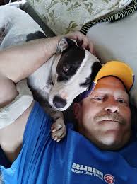 Growing up Youren! Between hound dogs and cow dogs, there were never a  shortage of dogs and puppies around for Harry and I to play with.  #growingupyouren #countrykids #littlemountainmen #mountainboys #dogbox  #hounddogs #