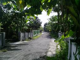 Pulang ke kampung halaman (bahasa percakapan/lisan/pergaulan). 18 Gambar Pemandangan Kampung Halaman Gambar Pemandangan Keren