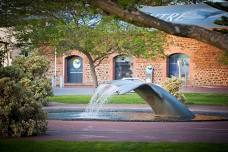 Walking Tour: Whale Walk and Talk