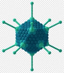 Scarica subito l'illustrazione vettoriale virus macro disegno. Virus Capsid Icosahedron Adenoviridae Capsomere Flu Helix Icosahedron Organism Png Pngwing