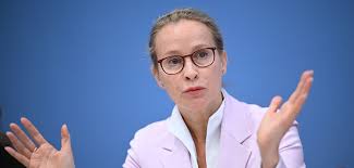 Plagiatsvorwürfe gegen Richterkandidatin Brosius-Gersdorf: Ehemann als Ghostwriter? - Imagen principal del artículo