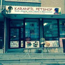karanfil petshop home facebook