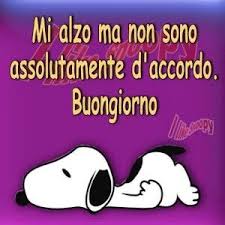 Buongiorno Immagini Con Frasi Per Augurare Un Ottima Giornata Buongiorno Citazioni Divertenti Buongiorno Immagini