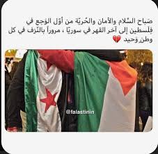 فلسطين سوريا