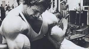 Share the best gifs now >>>. Hd Hintergrundbilder Arnold Schwarzenegger Junge Bodybuilding Schauspieler Desktop Hintergrund