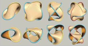 Image result for seifert surface