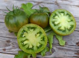 Tomato Aunt Ruby S German Green