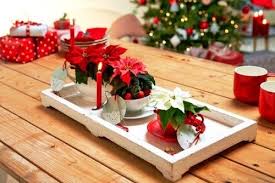 Tips And Tricks For Proper Poinsettia Care Even After Christmas Mit Bildern Weihnachtsstern Deko Ideen Weisse Weihnachtsdeko