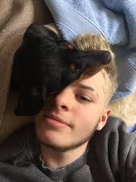 DOES ANYONE ELSES DOG DO THIS