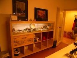 Une Maison Pour Hamster Expedit Hamster Ikea Terrarium Reptile