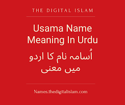High flyer is an english language word that is well described on this page with all the important details i.e high flyer meaning, high flyer word synonyms, and its similar. Usama Name Meaning In Urdu Https Names Thedigitalislam Com People Society Family Relationships Usama Na In 2020 Names With Meaning Muslim Boy Names Boy Name Meanings