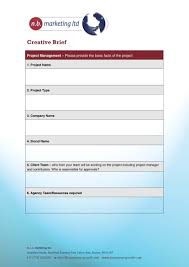 How do you create a brief? C R E A T I V E B R I E F T E M P L A T E Zonealarm Results