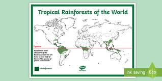 Where is the amazon rainforest located? Free Rainforest Map Ks2 Reference Sheet Teacher Made