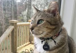 Confirm your appointment via text. 4s1fgs5imntxim