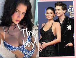 Kylie Jenner Revealed Her Boob Job Deets Because Of Timothée Chalamet! Insider Explains... - Perez Hilton