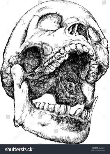 Screaming Vector Skull Illustration Stock Vector (Royalty Free) 9655831 |  Shutterstock