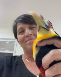 Prótese de bico (rinoteca) em Tucano do Bico Verde!, Dra Maria Ângela  veterinária