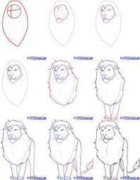 Then, make neat shapes for the eyes on the horizontal line and a realistic nose on the vertical line, below which you can add a pair of lips. 10 Inconceivable Drawing Animals In The Zoo Ideas Lion Drawing Realistic Drawings Animal Drawings