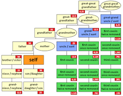 mapping cousin chart dna research family relationship