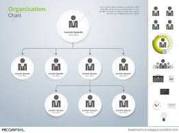 Vector Modern And Simple Organization Chart Template Vector