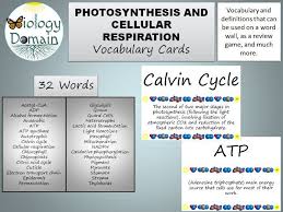 Cellular respiration (reactants and products: Photosynthesis And Cellular Respiration Vocabulary Cards Teaching Resources