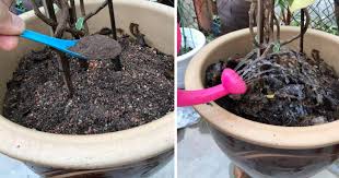 Trend penggunaan baja ringan sebagai material konstruksi juga diikuti oleh berbagai inovasi tools dibandingkan dengan gerinda mesin gubting baja ringan jauh lebih praktis dengan hasil potong yang. Teknik Betul Penggunaan Baja Organik Untuk Beginner Impiana