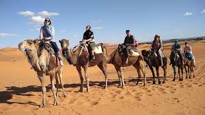 We booked camel trek overnight merzouga deser camp with moha and met ahmed in merzouga. Sahara Camel Tours Private Desert Tours Excursions In Morocco