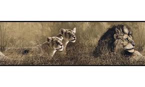 Check spelling or type a new query. 45 Wild Animal Wallpaper Borders On Wallpapersafari
