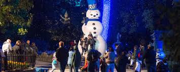 Zoo Lights San Antonio Zoo San Antonio Zoo Zoo Lights Visit Santa