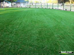 If you are a dog owner, having a safe and clean place to run your dog is a daily concern. Gallery Of Artificial Grass Installed In Dog Parks Pet Facilities
